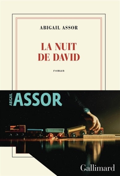 La nuit de David   d’Abigaïl Assor