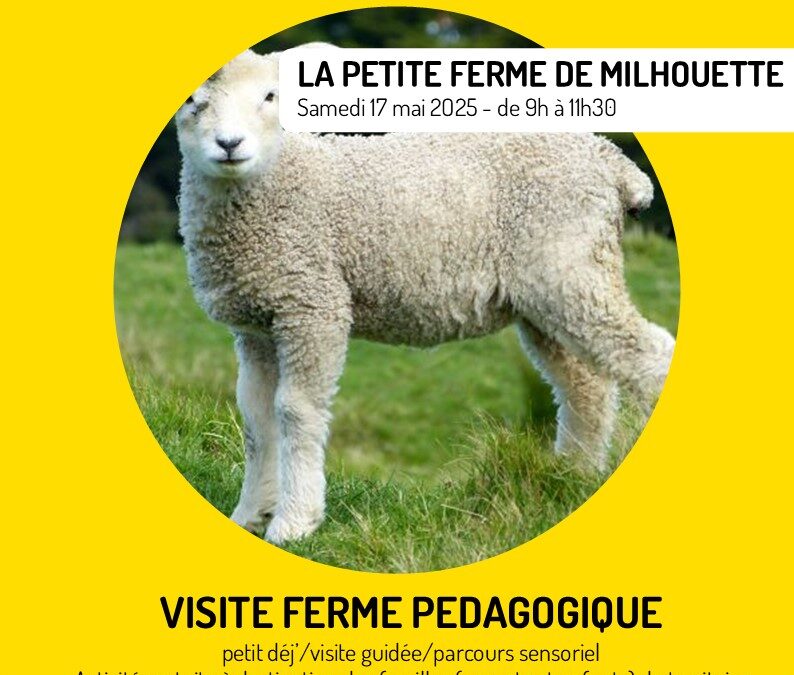 Matinées en famille – samedi 17 mai 2025