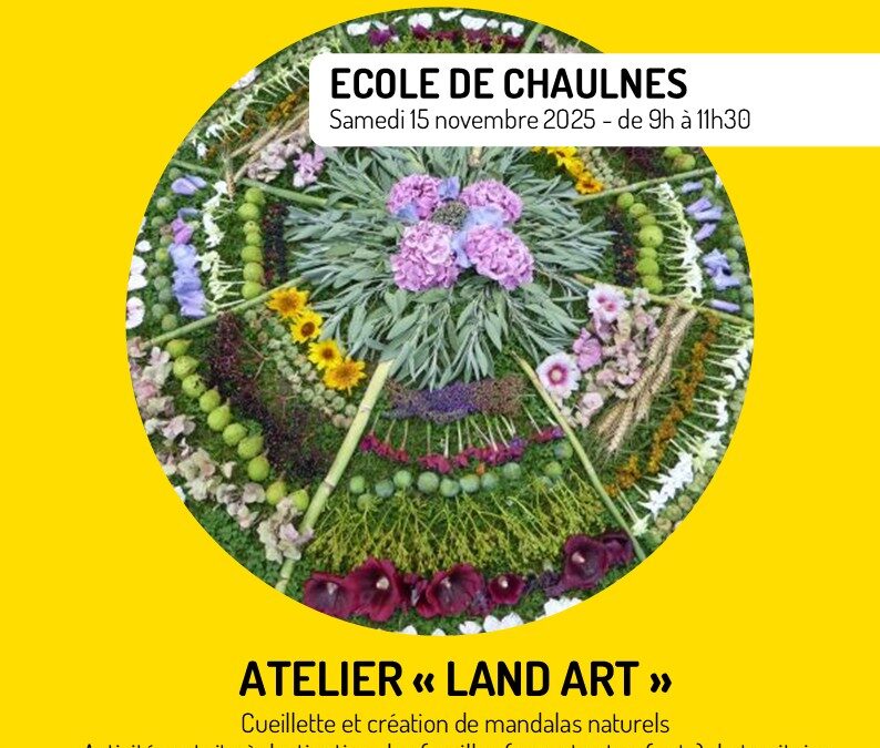 Matinées en famille – samedi 15 novembre 2025